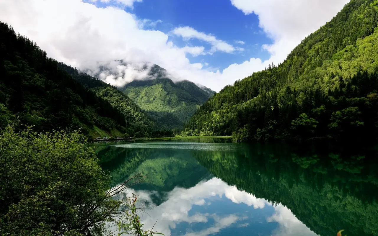 精密智能